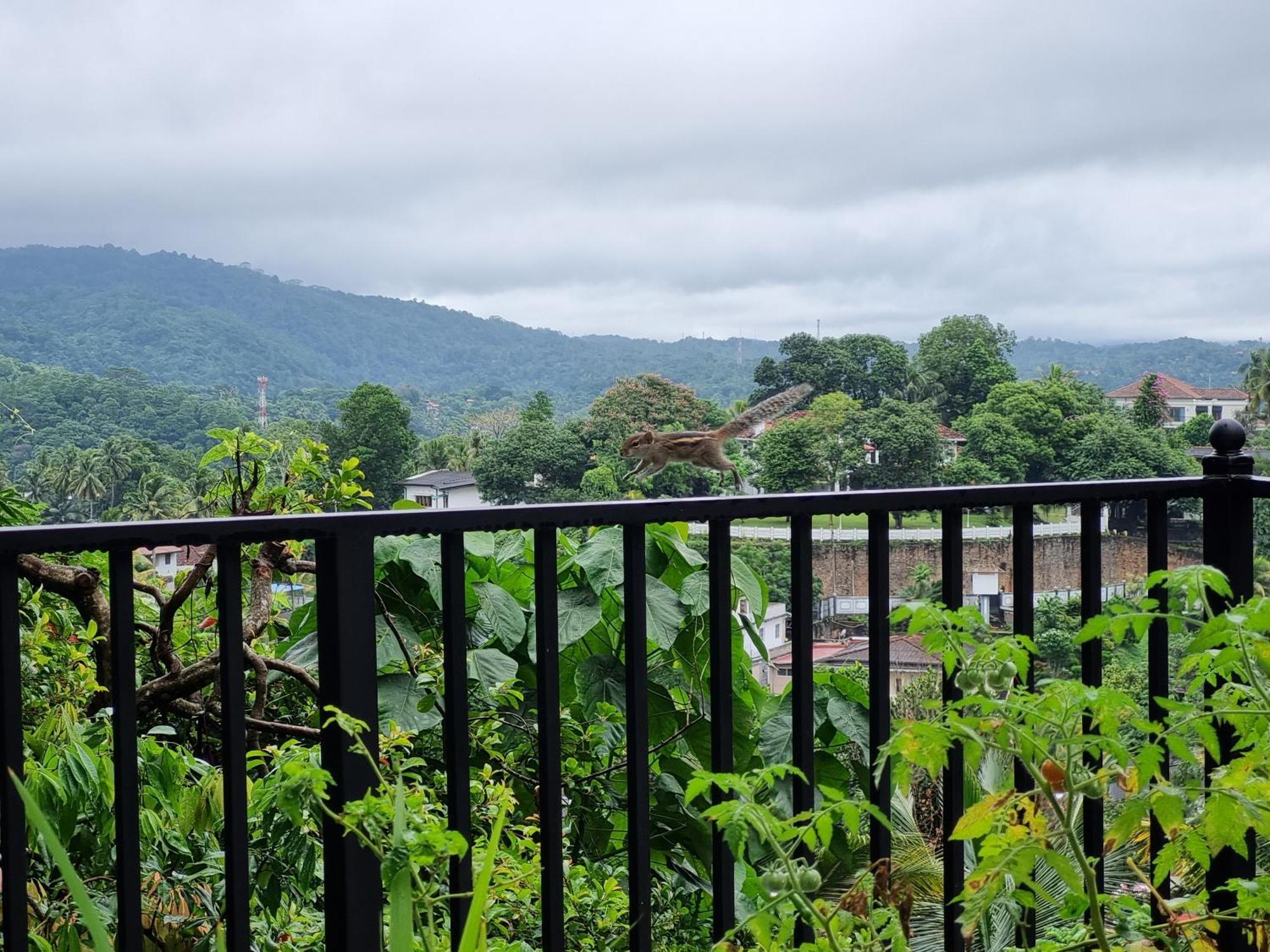 Squirrel'S Nest Hotel Kandy Luaran gambar