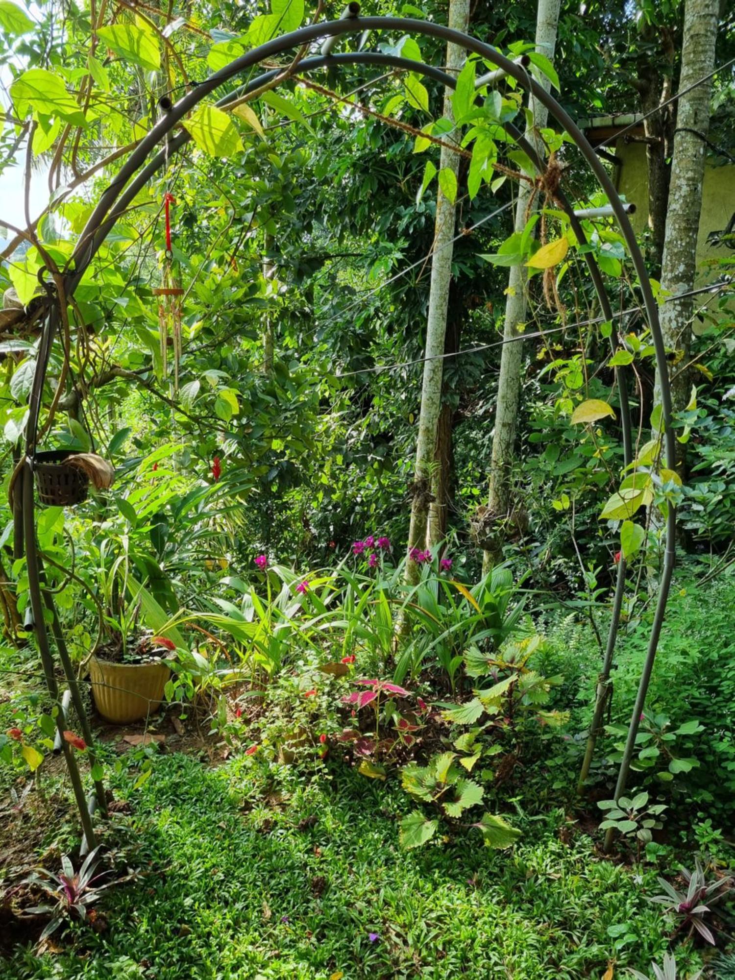 Squirrel'S Nest Hotel Kandy Luaran gambar