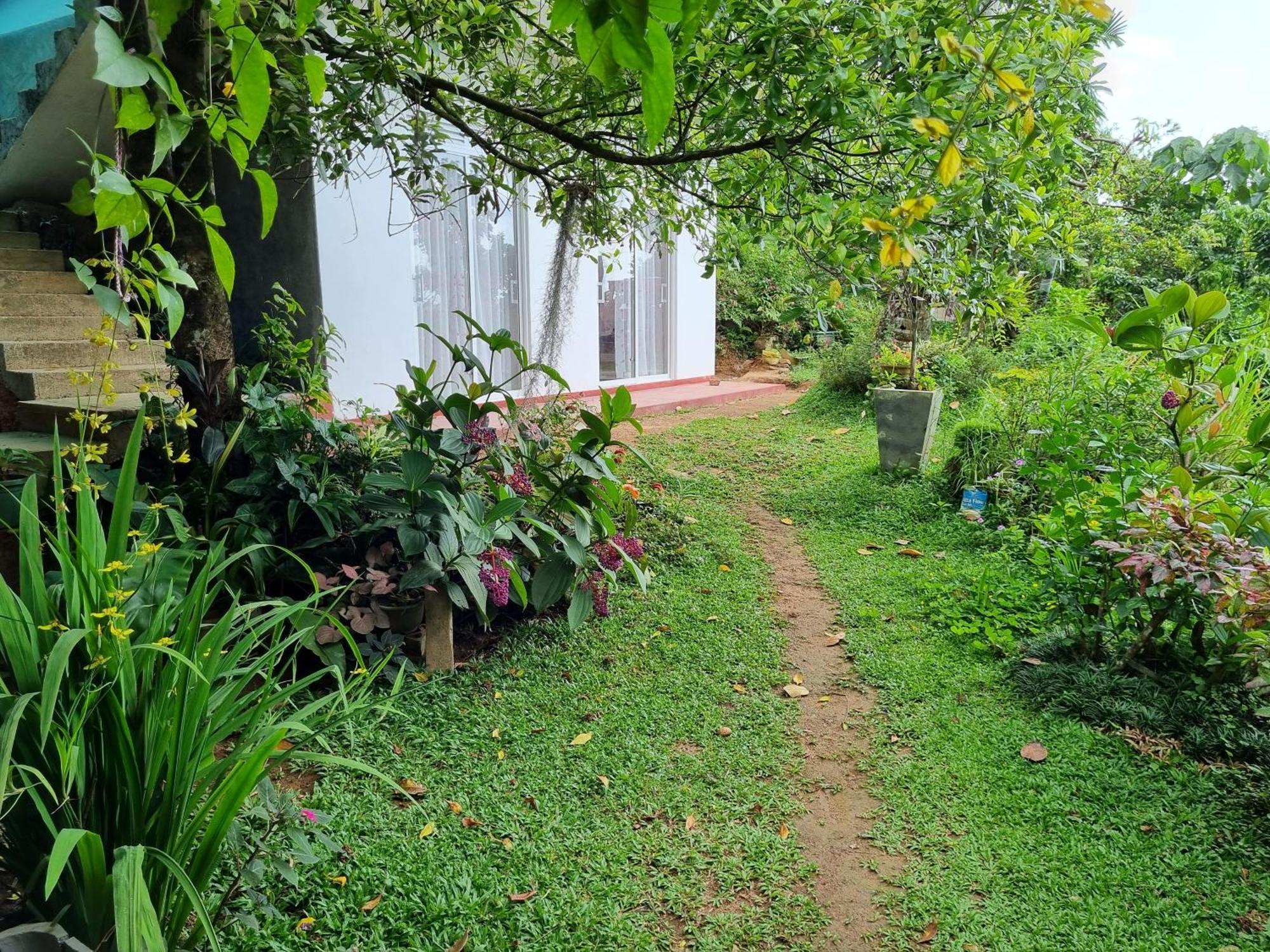 Squirrel'S Nest Hotel Kandy Luaran gambar