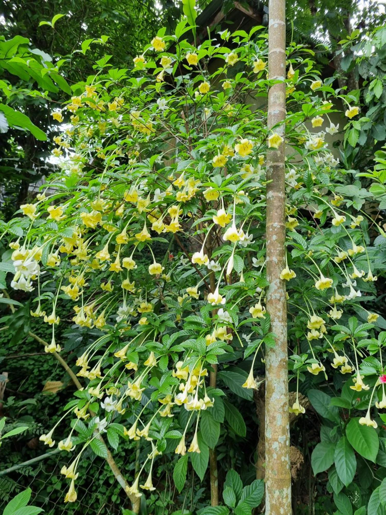 Squirrel'S Nest Hotel Kandy Luaran gambar