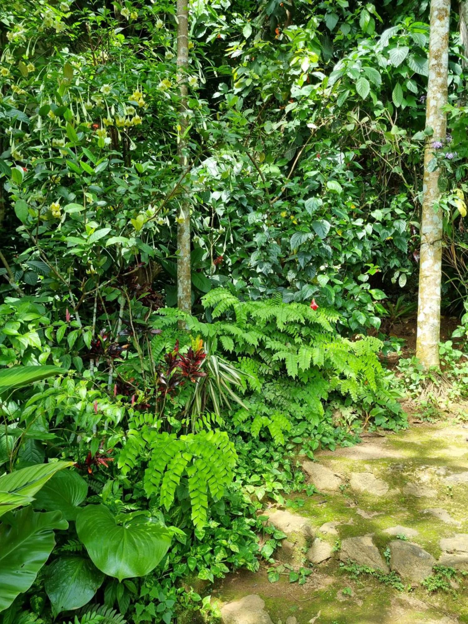 Squirrel'S Nest Hotel Kandy Luaran gambar