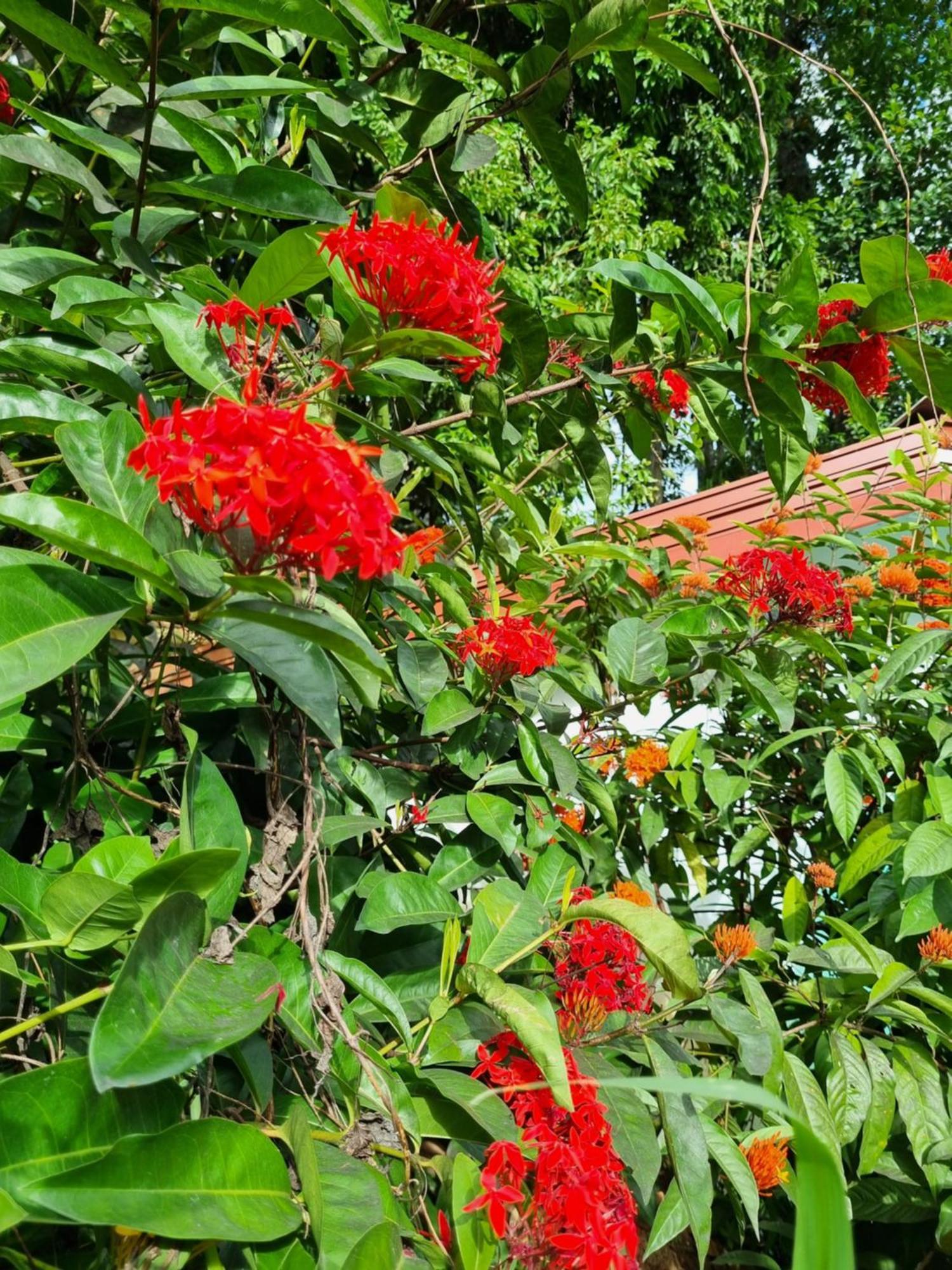 Squirrel'S Nest Hotel Kandy Luaran gambar